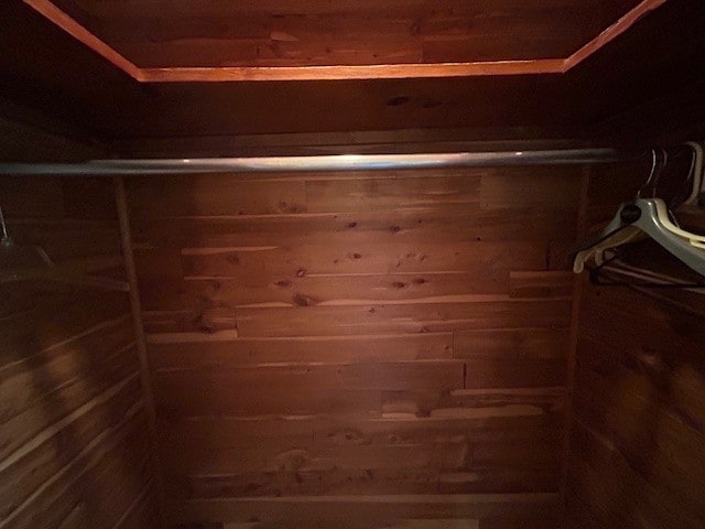 300 6th Ave, New Eagle, PA 15067 - view of closet