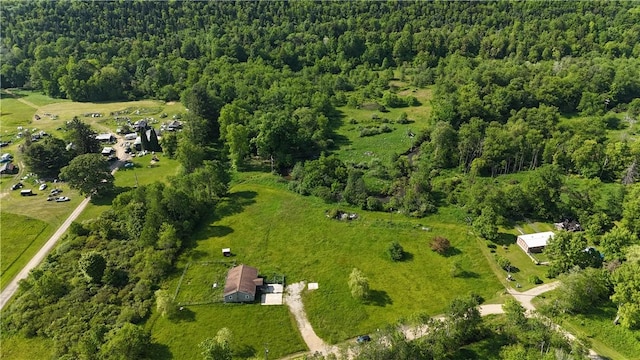 114 Cardinal Rd, Canoe/Banks Twps, PA 15742 - drone / aerial view of a forest