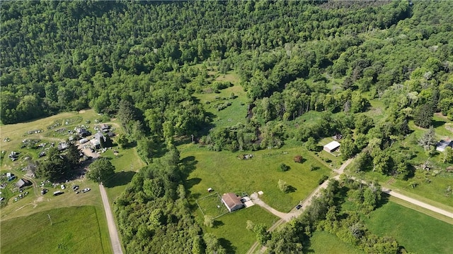 114 Cardinal Rd, Canoe/Banks Twps, PA 15742 - aerial view of property's location with a heavily wooded area