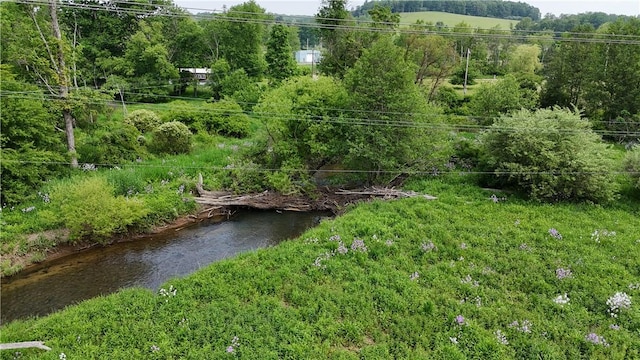 114 Cardinal Rd, Canoe/Banks Twps, PA 15742 - view of yard