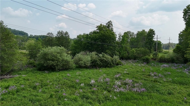 114 Cardinal Rd, Canoe/Banks Twps, PA 15742 - view of yard