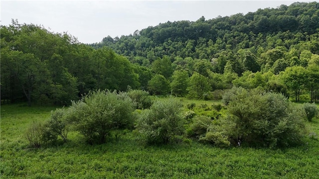 114 Cardinal Rd, Canoe/Banks Twps, PA 15742 - view of wooded area