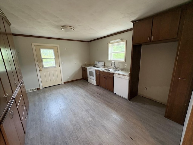 114 Cardinal Rd, Canoe/Banks Twps, PA 15742 - kitchen featuring white appliances, crown molding, plenty of natural light, light wood-style flooring, and light countertops