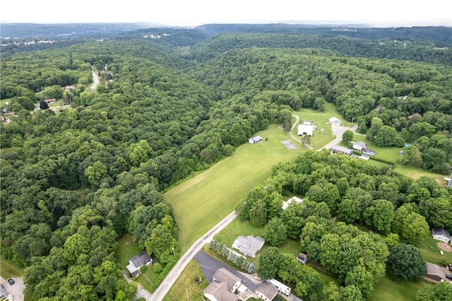466 Braden School Rd, Chippewa Twp, PA 15010 - aerial view of property's location featuring a heavily wooded area