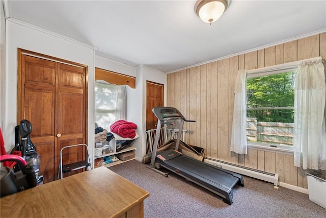119 Taylor Rd, Quemahoning Twp, PA 15541 - exercise room with carpet, crown molding, wooden walls, and baseboard heating