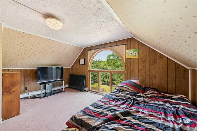 119 Taylor Rd, Quemahoning Twp, PA 15541 - bedroom featuring wood walls, carpet flooring, vaulted ceiling, and a textured ceiling