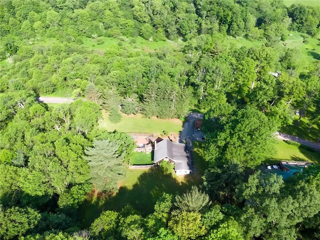 119 Taylor Rd, Quemahoning Twp, PA 15541 - aerial overview of property's location featuring a forest