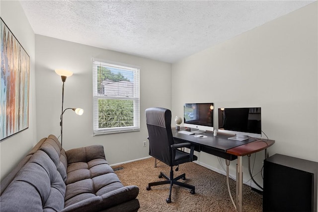 1304 Greenhill Road Ext, Shaler, PA 15209 - home office with carpet and a textured ceiling