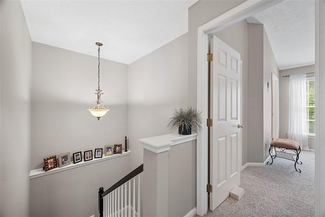 81406 Lost Valley Dr, Adams Twp, PA 16046 - corridor featuring an upstairs landing and carpet floors