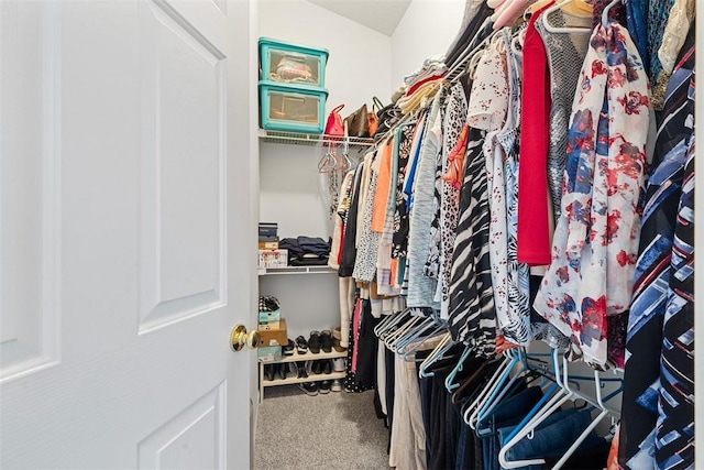 81406 Lost Valley Dr, Adams Twp, PA 16046 - spacious closet with carpet flooring
