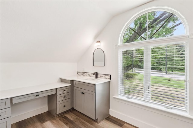 3442 Mercer Rd, Neshannock Twp, PA 16105 - bathroom featuring vanity, lofted ceiling, plenty of natural light, and wood finished floors