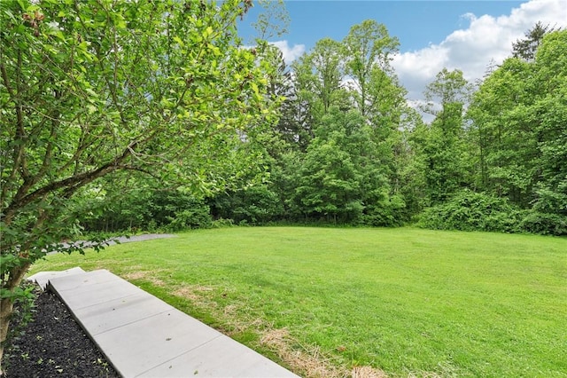 3442 Mercer Rd, Neshannock Twp, PA 16105 - view of grassy yard