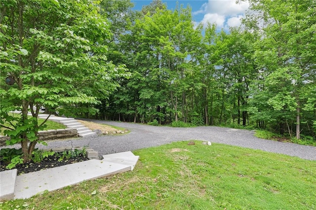 3442 Mercer Rd, Neshannock Twp, PA 16105 - view of green lawn