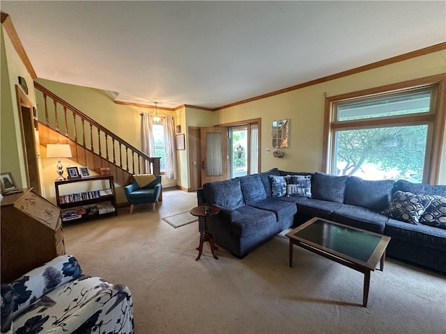 566 4th St, City Of But Ne, PA 16001 - living room featuring healthy amount of natural light, carpet floors, stairway, and ornamental molding