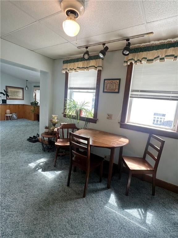 566 4th St, City Of But Ne, PA 16001 - dining room featuring plenty of natural light and carpet flooring