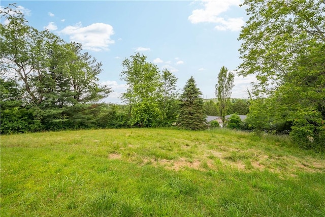 10 Fieldcrest Dr, Robinson Twp Wsh, PA 15057 - view of yard