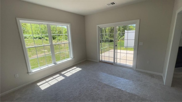 149 Shady River Blvd Unit 40B, Economy, PA 15005 - spare room with carpet and plenty of natural light