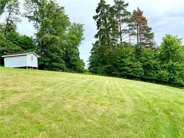 622 Fuhrman Ln, Buffalo Twp But, PA 16229 - view of green lawn with a storage shed