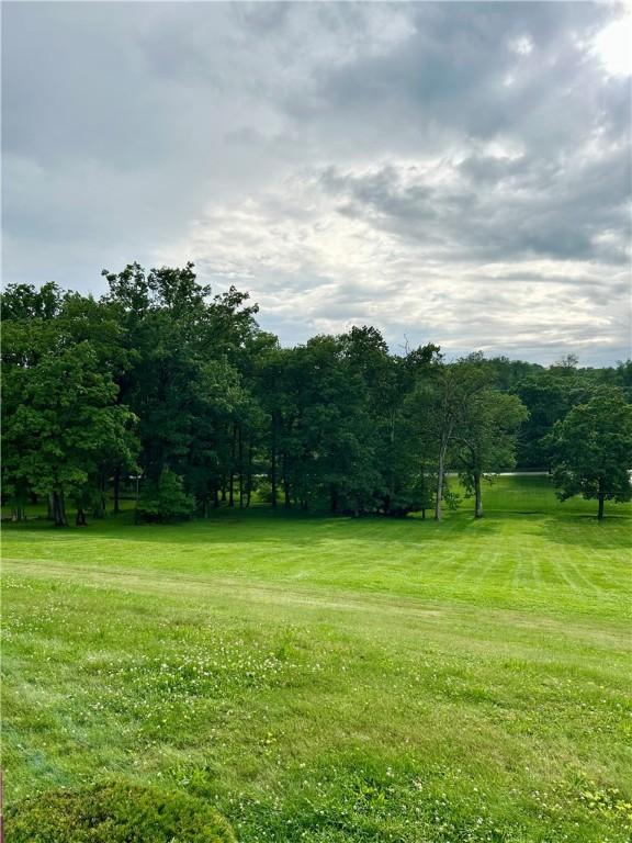 622 Fuhrman Ln, Buffalo Twp But, PA 16229 - view of grassy yard