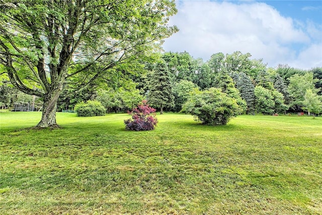 325 N Ben Franklin Rd, White Twp, PA 15701 - photo 30