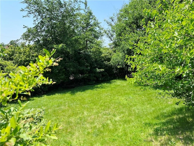 238 Humphrey Rd, Hempfield Twp Wml, PA 15601 - view of green lawn