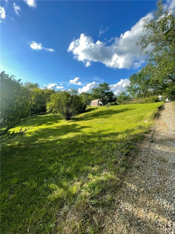 15 Overbrook Ln, Cecil, PA 15057 - view of green lawn