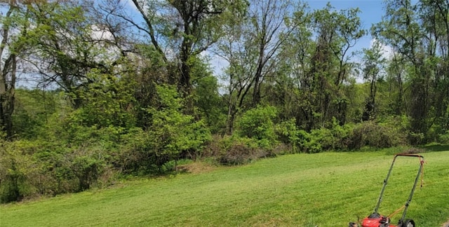 15 Overbrook Ln, Cecil, PA 15057 - view of grassy yard