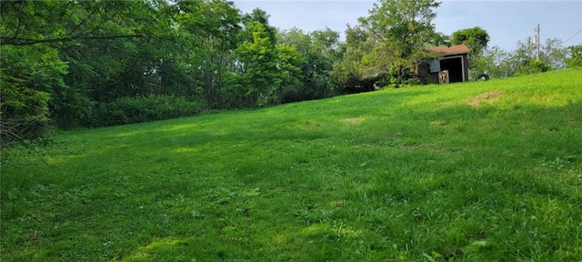 15 Overbrook Ln, Cecil, PA 15057 - view of grassy yard