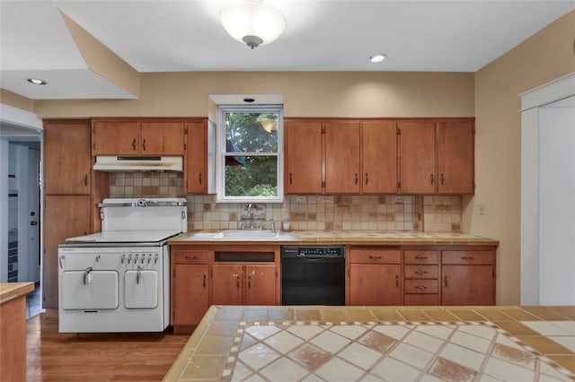 5256 Beeler St, Squirrel Hill, PA 15217 - kitchen with dishwasher, under cabinet range hood, tile countertops, and wood finished floors