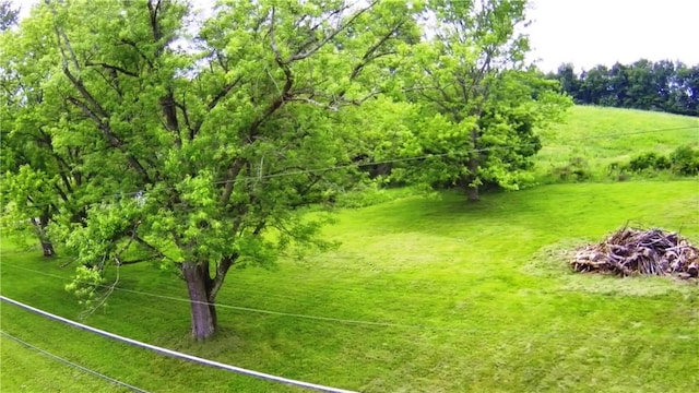 552 Heinz Camp Rd, Perry Twp Law, PA 16051 - view of yard