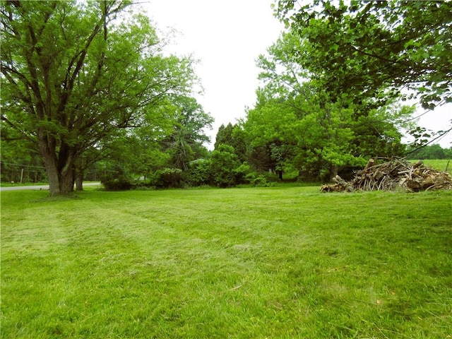 552 Heinz Camp Rd, Perry Twp Law, PA 16051 - view of grassy yard