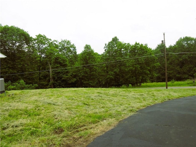 552 Heinz Camp Rd, Perry Twp Law, PA 16051 - view of grassy yard featuring a forest view