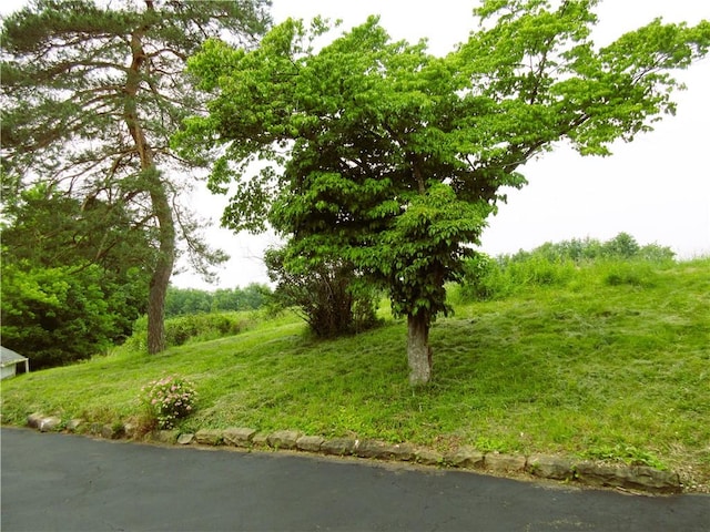 552 Heinz Camp Rd, Perry Twp Law, PA 16051 - view of undeveloped land