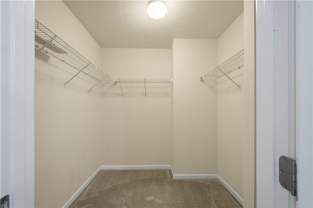 8010 Hinsdale Ln, South Fayette, PA 15057 - photo 15