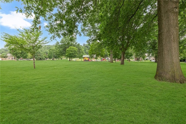 452 Canal St, Beaver, PA 15009 - view of green lawn