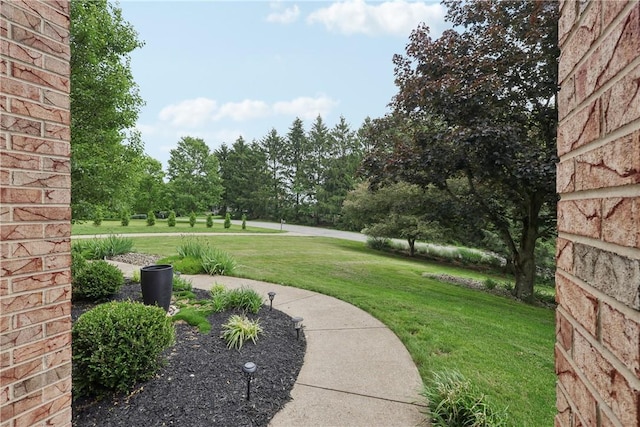 108 Ascot Ct, Lancaster Twp, PA 16037 - view of green lawn
