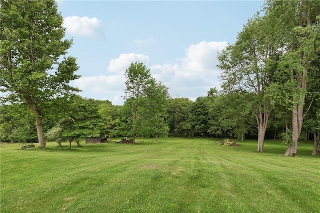 108 Ascot Ct, Lancaster Twp, PA 16037 - view of green lawn