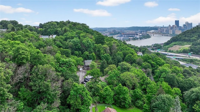 226 Herndon, Elliott, PA 15220 - aerial view of property's location with a large body of water and a notable bridge