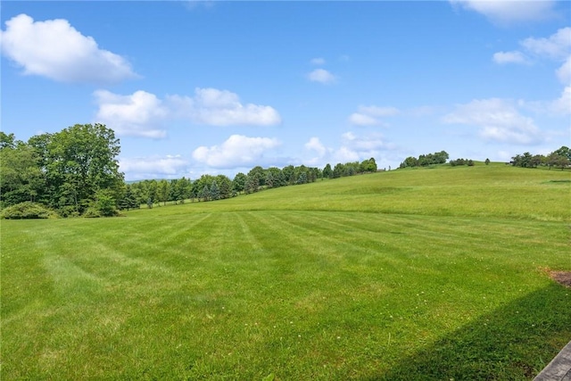 77 Carey School Rd, Ligonier Twp, PA 15658 - photo 36