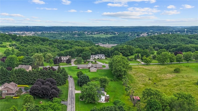 321 Dairy Farm Rd, Allegheny Twp Wml, PA 15068 - drone / aerial view of a forest