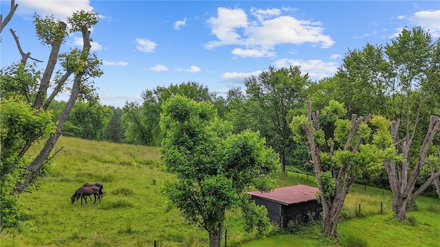 321 Dairy Farm Rd, Allegheny Twp Wml, PA 15068 - view of yard with a rural view