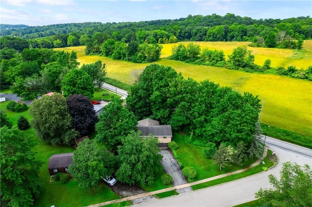 202 Village Ln, New Wilmington Boro, PA 16142 - aerial view