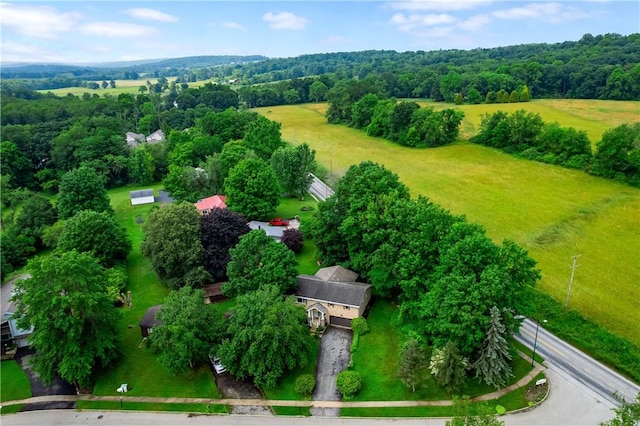 202 Village Ln, New Wilmington Boro, PA 16142 - drone / aerial view