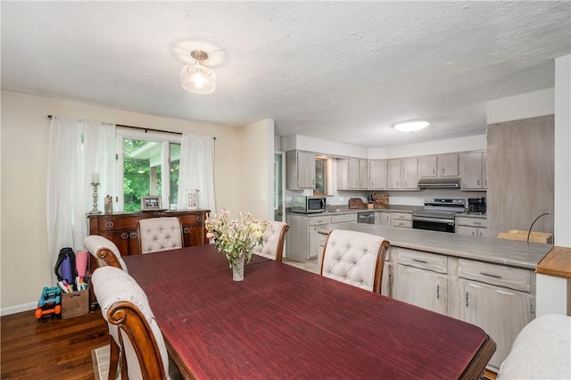 202 Village Ln, New Wilmington Boro, PA 16142 - dining area with dark wood-type flooring and a textured ceiling