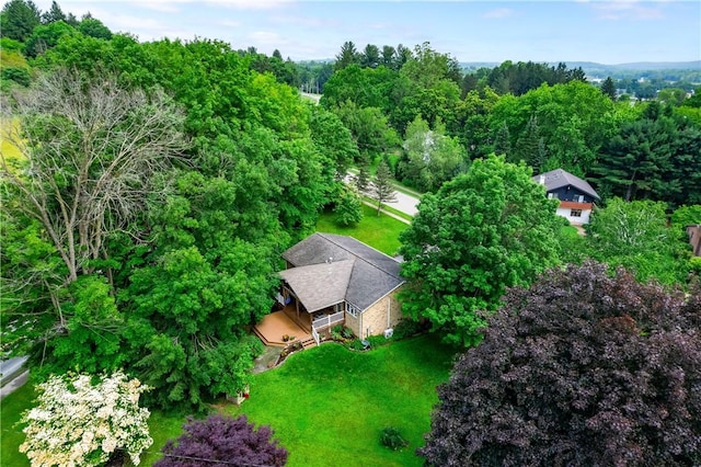 202 Village Ln, New Wilmington Boro, PA 16142 - view of subject property featuring a heavily wooded area
