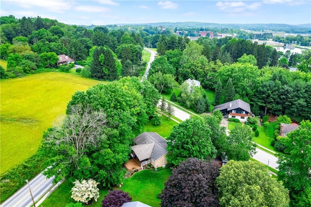 202 Village Ln, New Wilmington Boro, PA 16142 - aerial view