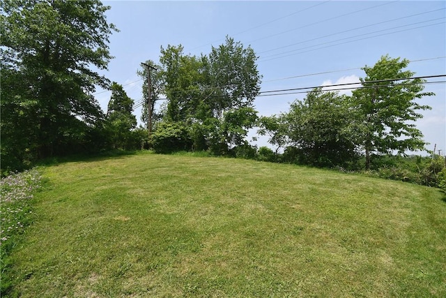 1673 Elderslee Rd, Baldwin Boro, PA 15227 - view of green lawn