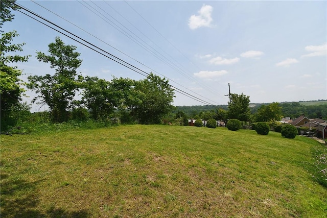 1673 Elderslee Rd, Baldwin Boro, PA 15227 - view of green lawn
