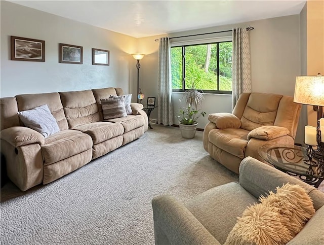 321 Jo Ann Dr, West Mifflin, PA 15122 - living area with carpet flooring