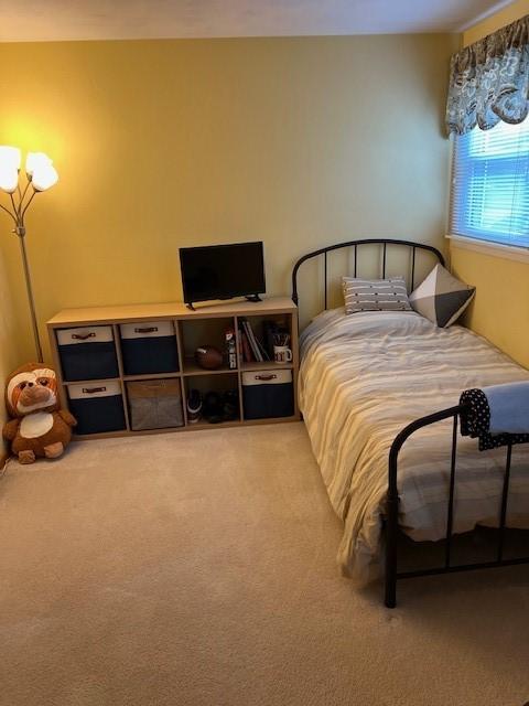 77 Ridgecrest Dr, Wilkins Twp, PA 15235 - bedroom featuring carpet floors